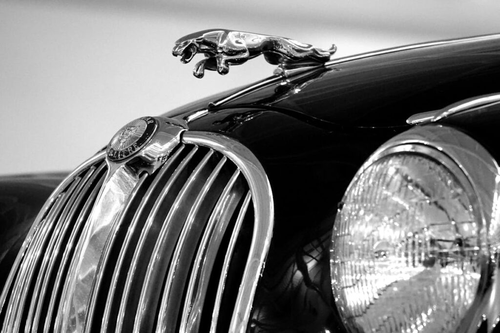 Jaguar Emblem on Black Car